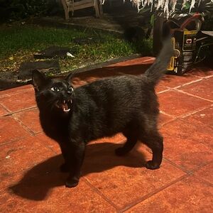 Mystery Jewelry Bag !!